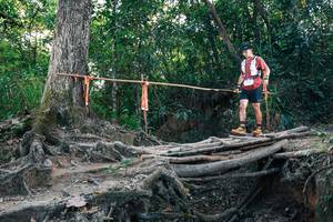 BIB: 
                            <button type="button" onclick="openModal(27309076)" class="btn btn-primary btn-sm float-right btn-popup" data-toggle="modal" data-target=".modal-high-quality">
                        <i class="fas fa-shopping-cart"></i> Add to Cart
                    </button>
                                            <button type="button" onclick="isThisMe(27309076, true)" class="btn btn-success btn-sm float-right btn-popup btn-isme hidden" data-toggle="tooltip" data-placement="bottom" title="นี่คือรูปของคุณใช่ไหม คลิกที่นี่เพื่อเอาเข้าอัลบั้ม">
                        <i class="fas fa-plus"></i> Add to album
                    </button>
                    <button type="button" onclick="isThisMe(27309076, false)" class="btn btn-warning btn-sm float-right btn-popup btn-isnotme hidden">
                        <i class="fas fa-ban"></i> Remove from album
                    </button>